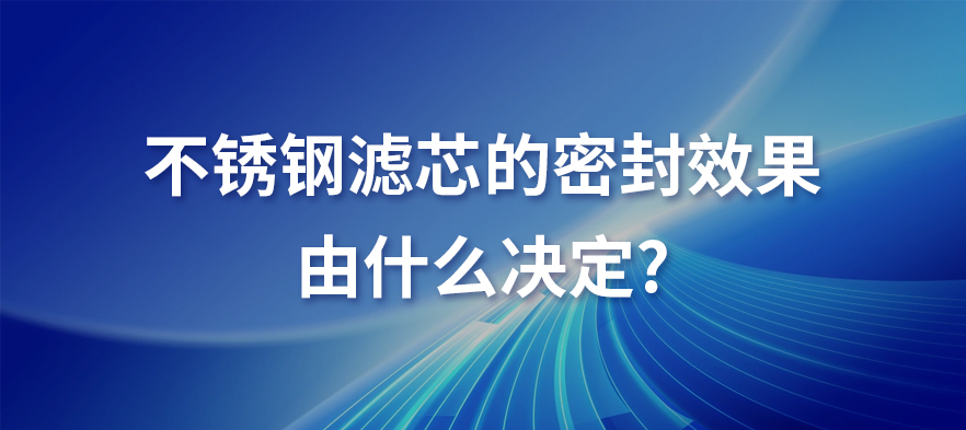 不锈钢滤芯的密封效果由什么决定_https://www.hbhzfilter.com_新闻资讯_第1张